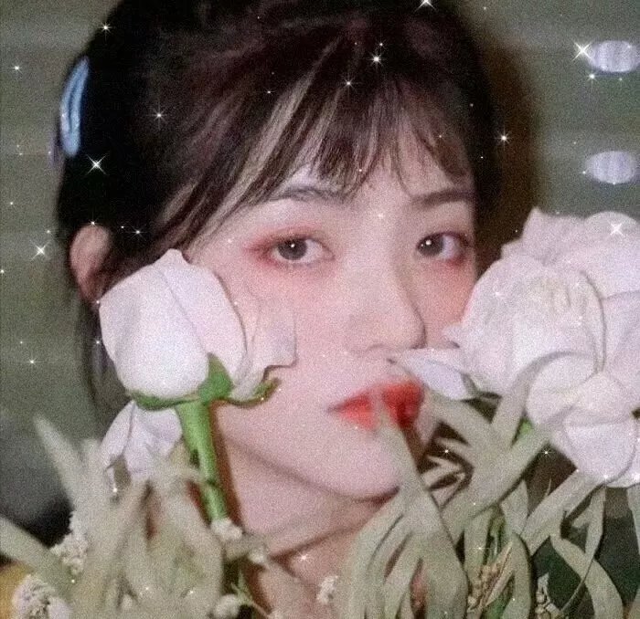 一切的解释