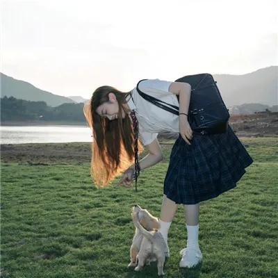 救援狗